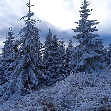 Przy Slonecznej * 슈차이르크