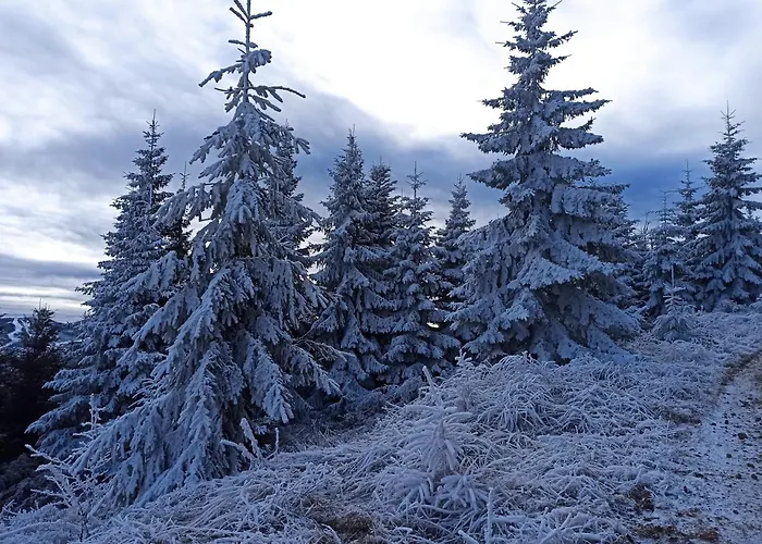 Przy Slonecznej * 슈차이르크